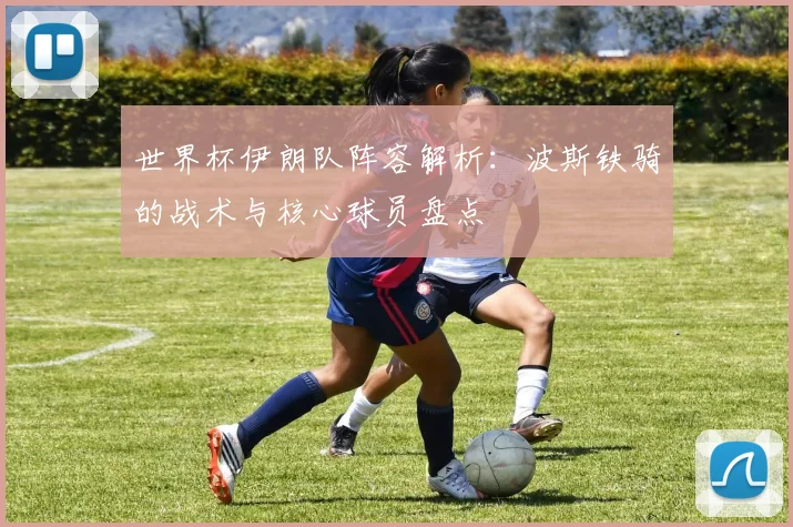 世界杯伊朗队阵容解析：波斯铁骑的战术与核心球员盘点