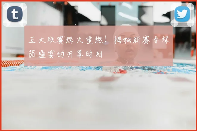 五大联赛烽火重燃！揭秘新赛季绿茵盛宴的开幕时刻