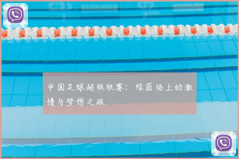中国足球超级联赛：绿茵场上的激情与梦想之旅